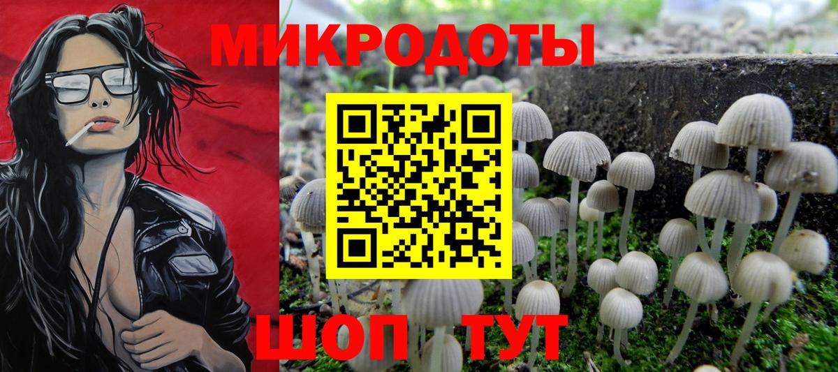 наркота  Галлюциногенные грибы Magic Shrooms  Вход с VPN  Россошь 